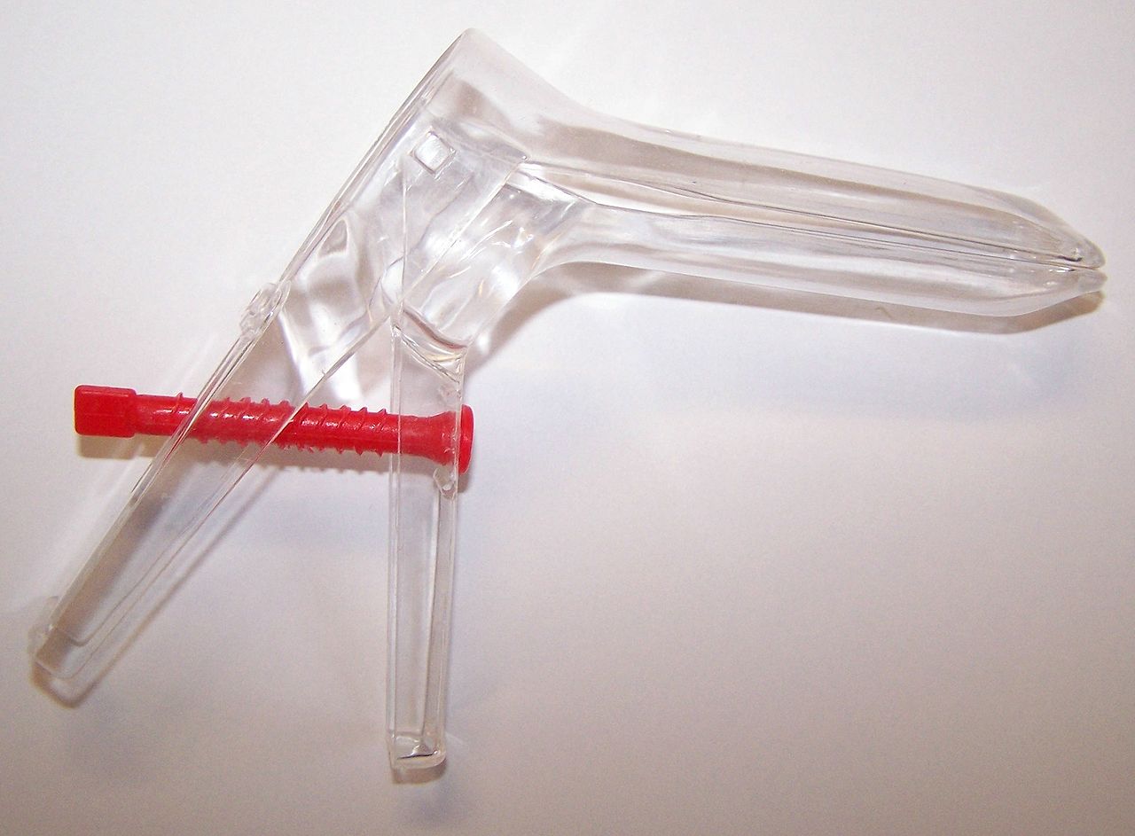 What Is An Anal Speculum 21